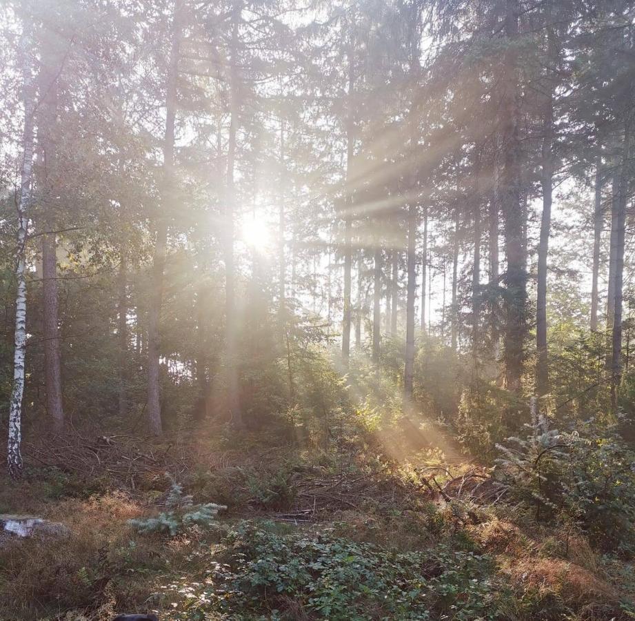 Boslodge 84 Ворден Экстерьер фото